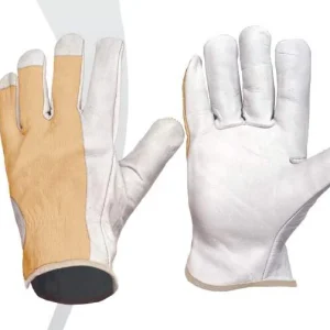 Guante con palma en piel y dorso en algodón. Puño elástico.  Color blanco. Pack 12 pares. WTG1501
