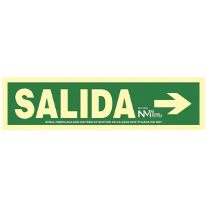 SEÑAL SALIDA FLECHA DERECHA PVC