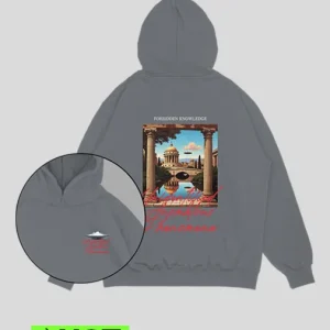 Hoodie gris piedra Anomalous (UNISEX)