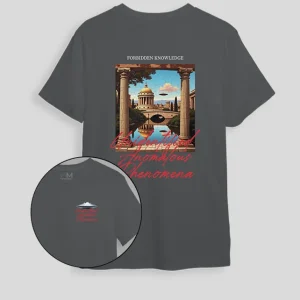 Camiseta gris piedra Anomalous (UNISEX)