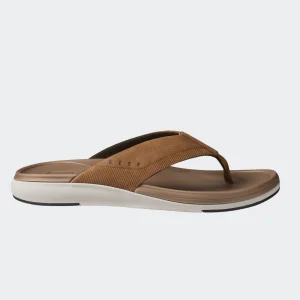 Sandalias para Hombre REEF CUSHION NORTE CJ4048 TAN