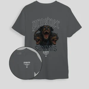 Camiseta gris piedra Prosper (UNISEX)