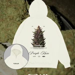 Hoodie hueso Purple (UNISEX)